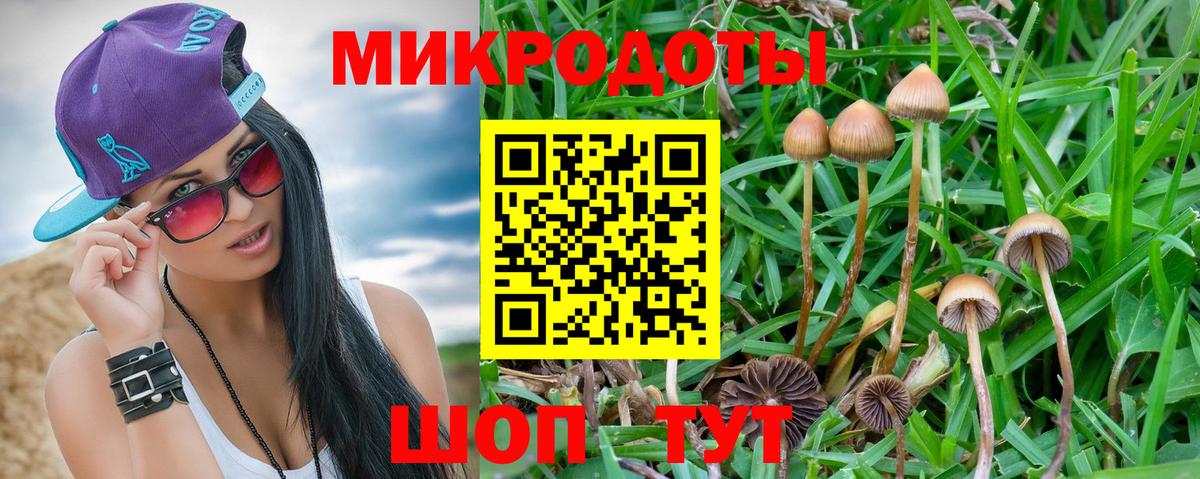 Галлюциногенные грибы GOLDEN TEACHER Уварово